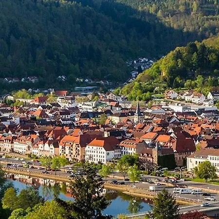 Ecologica - Blockhaus Bei Heidelberg 内卡尔斯泰纳