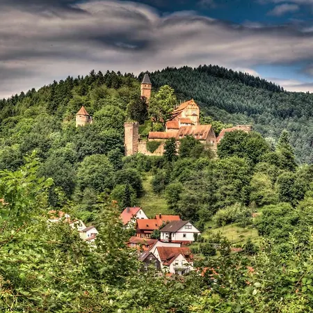 公寓 Ecologica - Blockhaus Bei Heidelberg