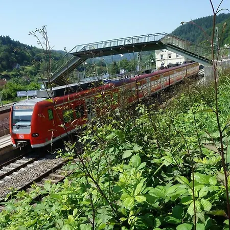 公寓 Ecologica - Blockhaus Bei Heidelberg